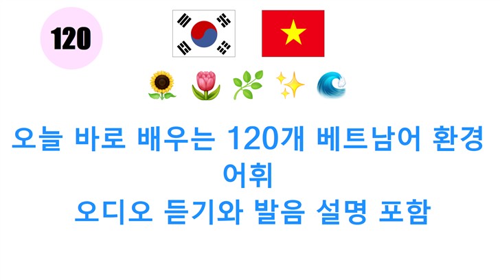 오늘 바로 배우는 120개 베트남어 환경 어휘: 오디오 듣기와 발음 설명 포함